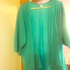 Lularoe NWT green Lindsey.  Never worn.